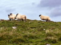 Isle of South Uist